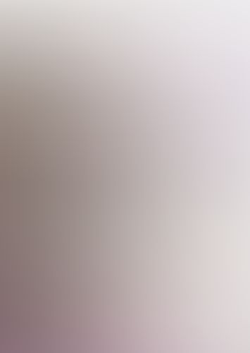 フルメタル・パニック! 短編06 あてにならない六法全書?