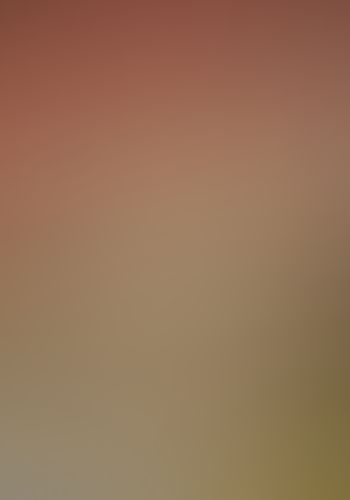 バッカーノ!  〈19〉1935-B Dr.Feelgreed