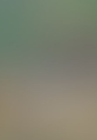 マルドゥック・スクランブル―The Third Exhaust 排気