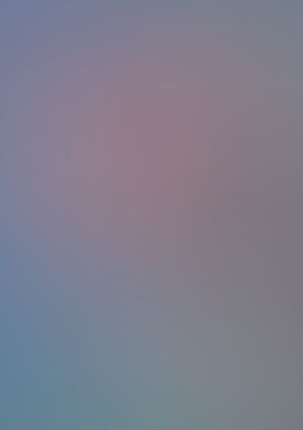 ゼロの使い魔 (02) 風のアルビオン