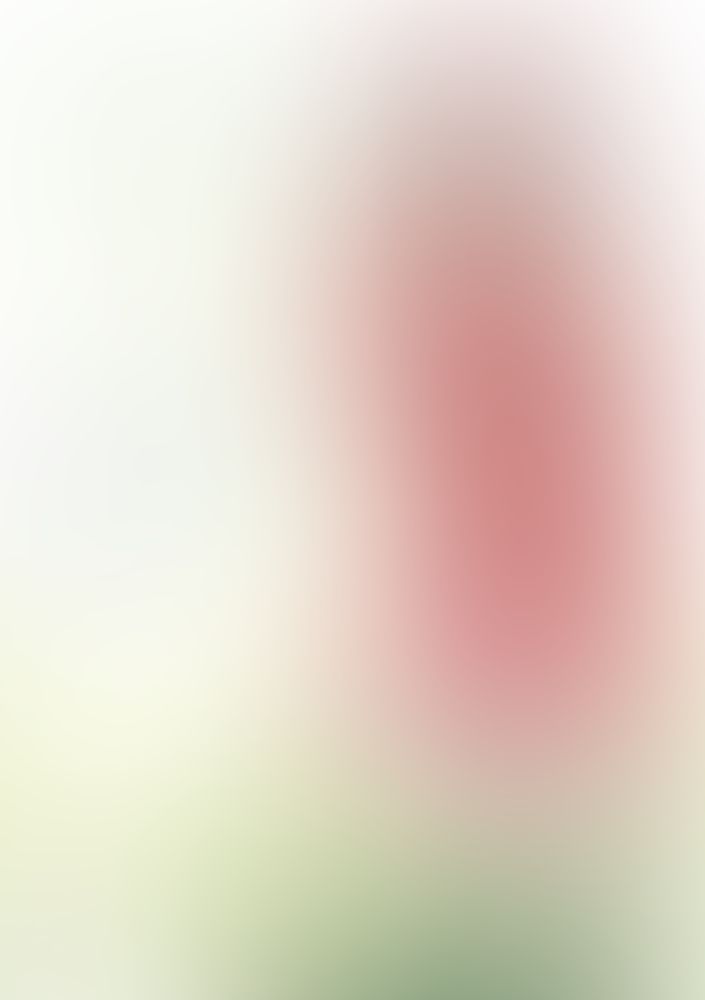 青春ブタ野郎はサンタクロースの夢を見ない