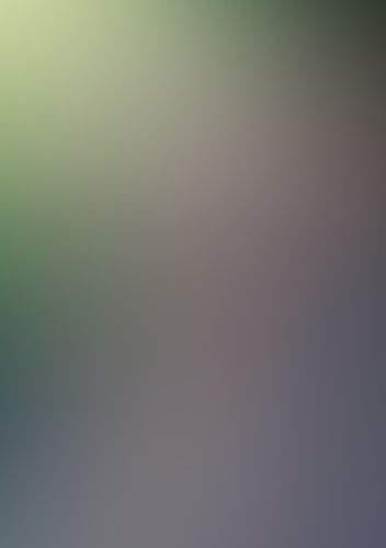 ゼロから始める魔法の書 (9) -ゼロの傭兵 (上)-