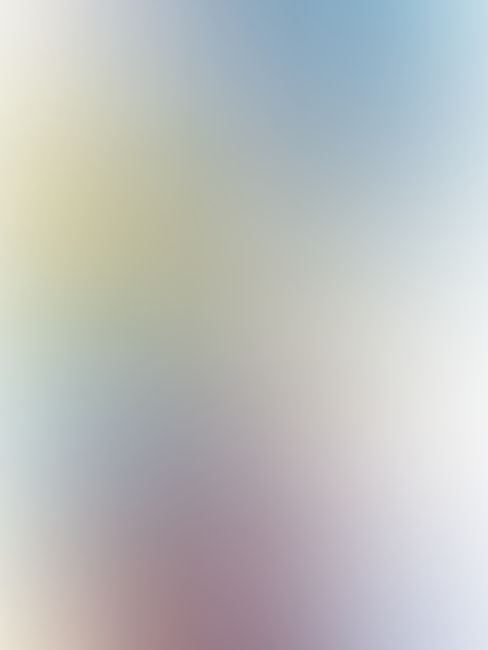 IS 〈インフィニット・ストラトス〉 (06)