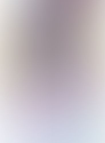 学戦都市アスタリスク (4) 追憶闘破