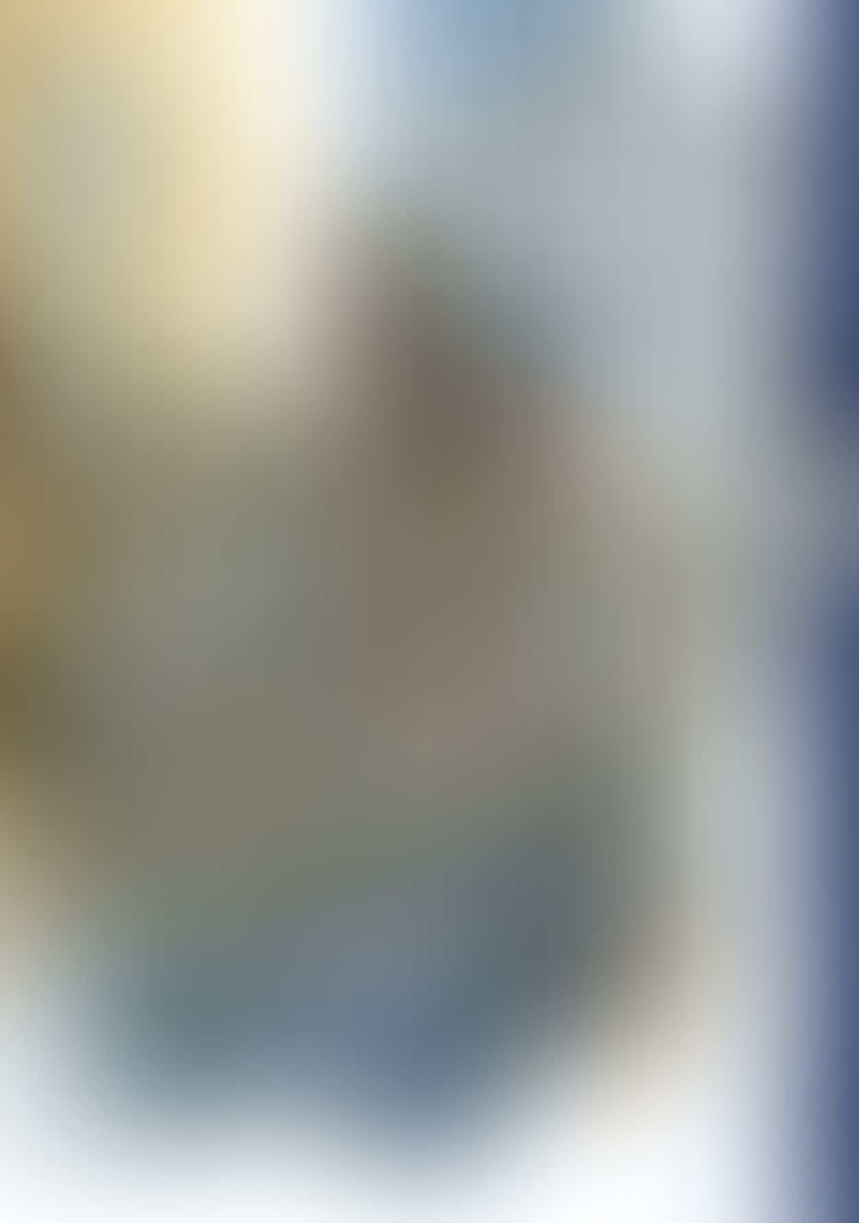 白銀の墟 玄の月 第四巻