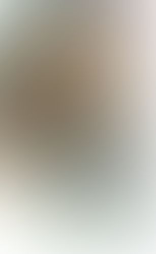 零崎人識の人間関係 無桐伊織との関係