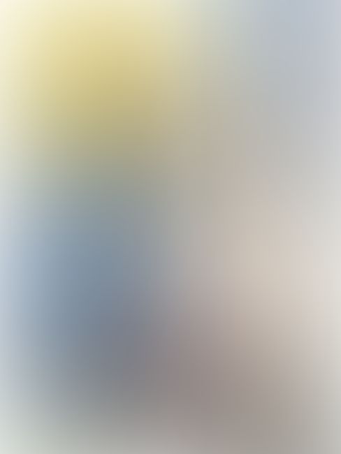 IS 〈インフィニット・ストラトス〉 (02)