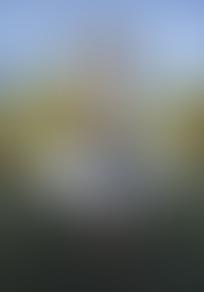 サクチシノニエ 異端の儀式