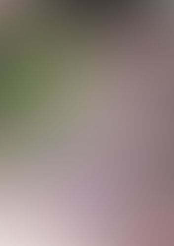 大伝説の勇者の伝説 (8) 壊れた魔術師の未来