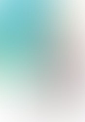 青春ブタ野郎はシスコンアイドルの夢を見ない