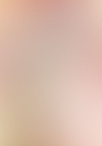 盾の勇者の成り上がり (14)