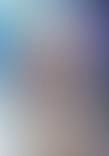 ゼロから始める魔法の書 (1)