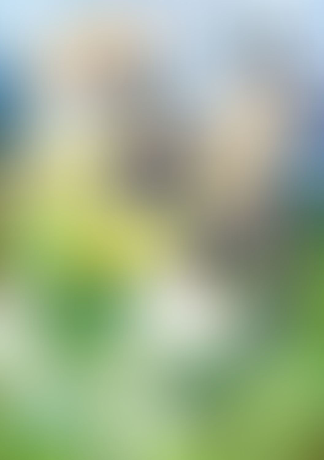 公女殿下の家庭教師 (13) 大樹守りの遺言