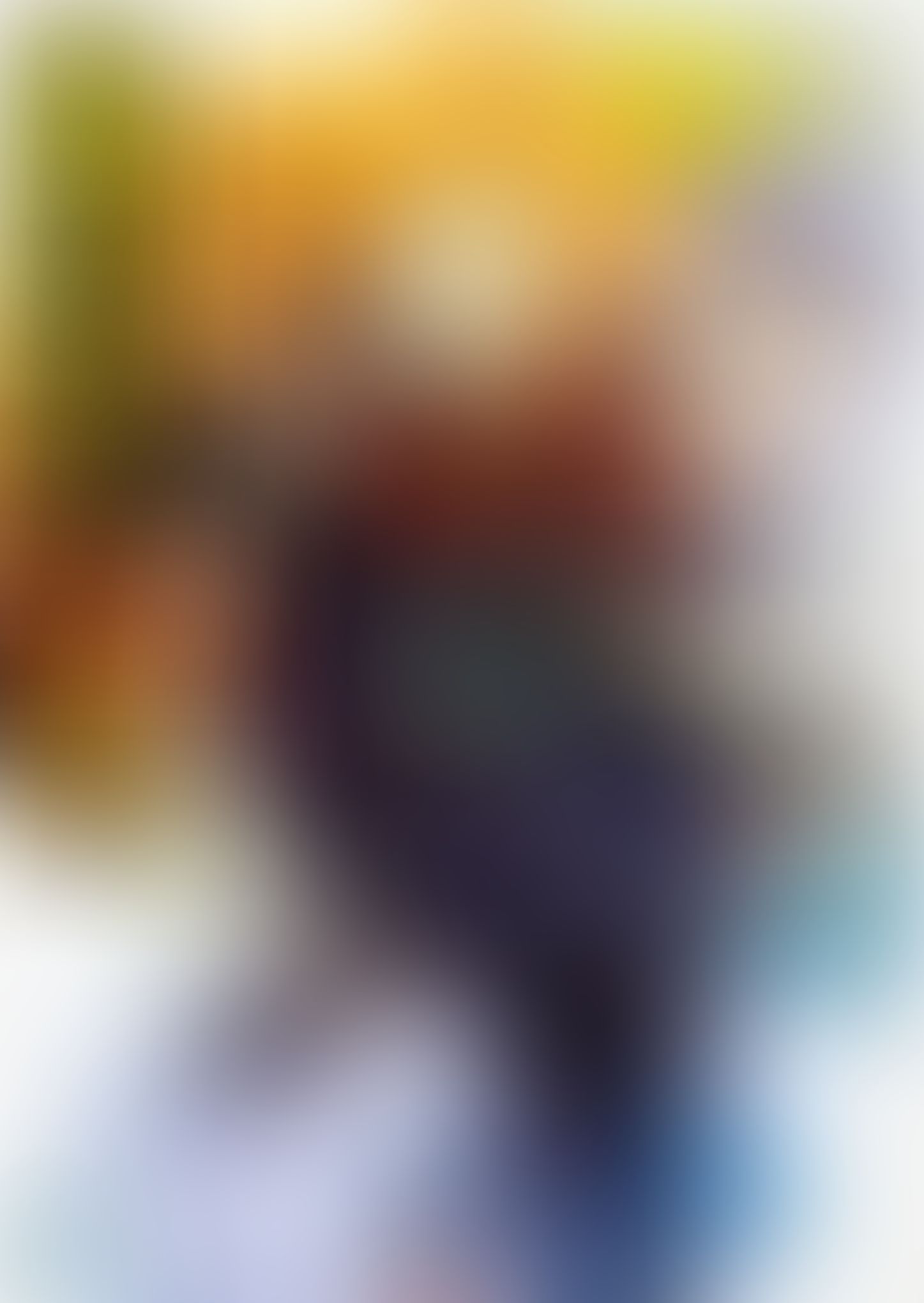 織田信奈の野望 全国版 (18)