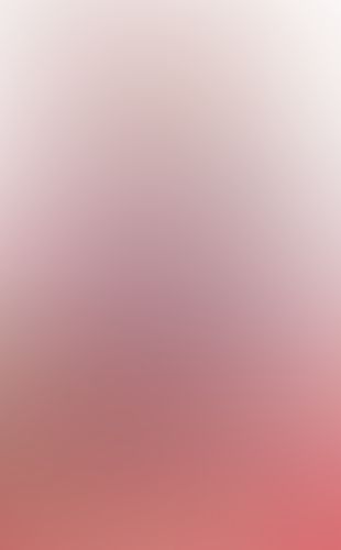ネコソギラジカル(上) 十三阶段