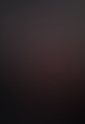 マルドゥック・ヴェロシティ 3