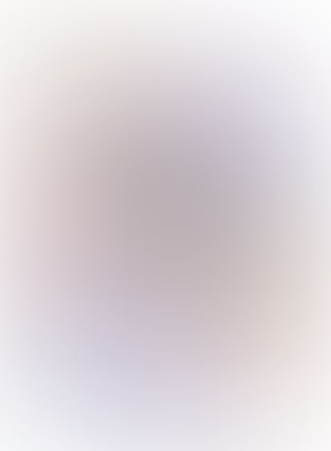 Re:ゼロから始める異世界生活 (6)