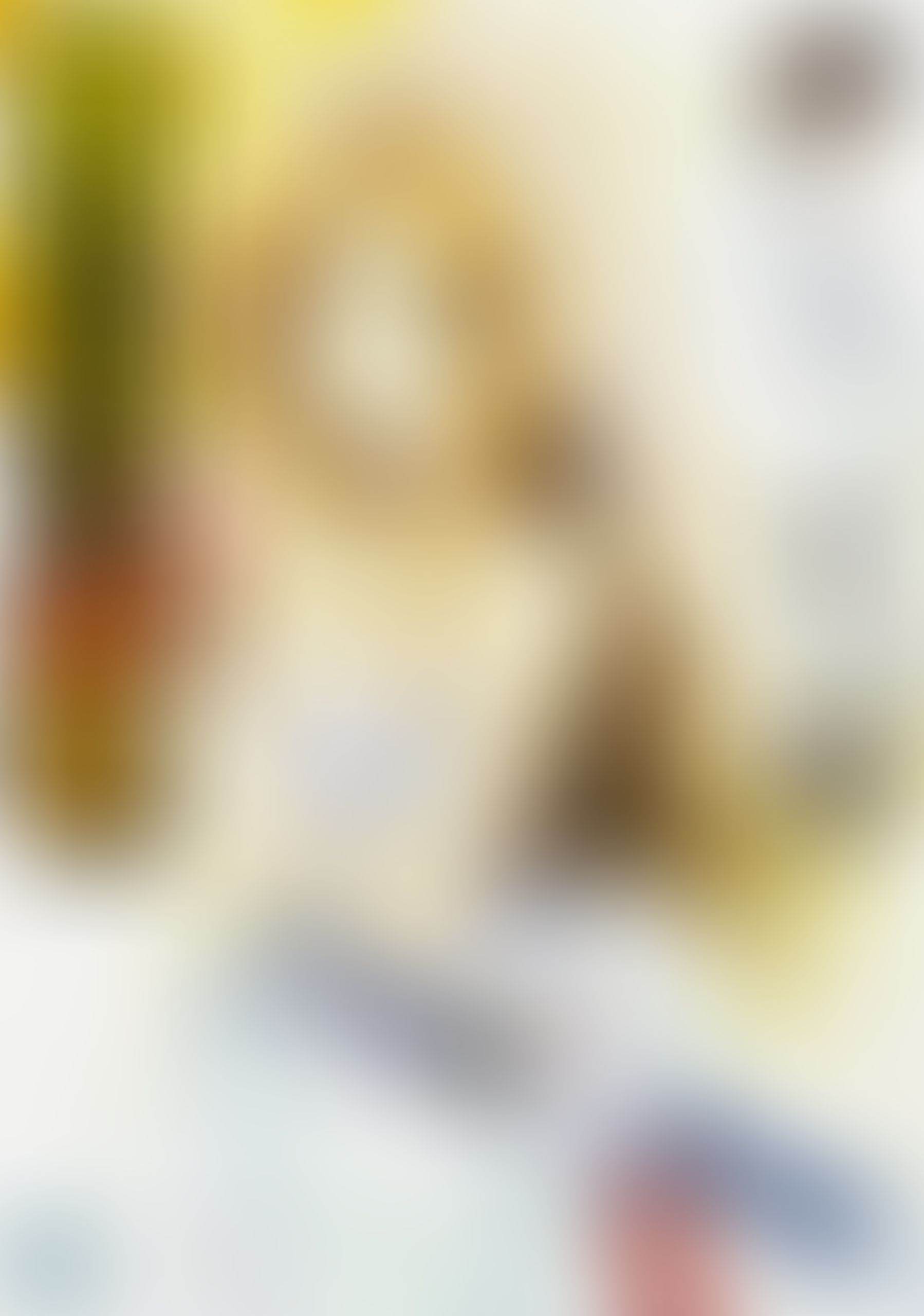 織田信奈の野望 全国版 (19)