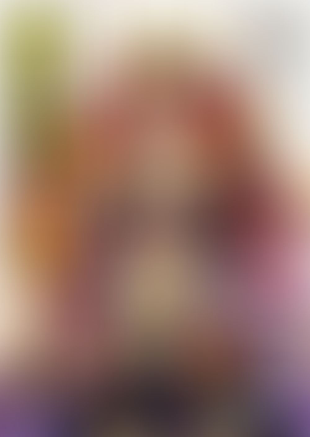 織田信奈の野望 全国版 (16)