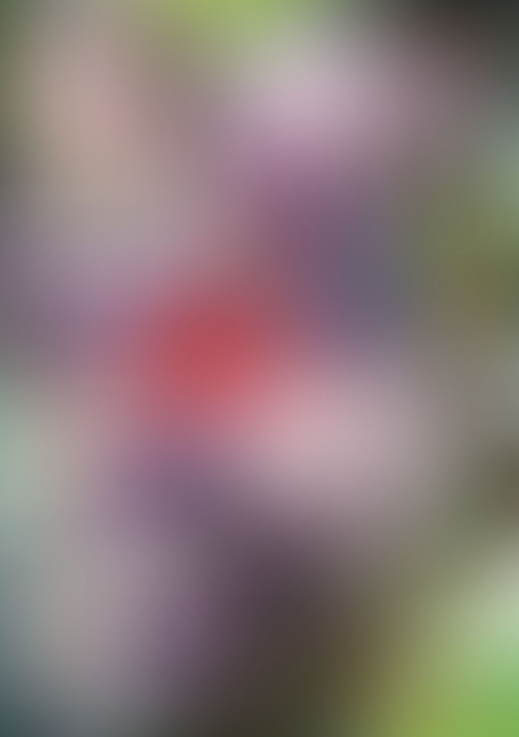 七つの魔剣が支配する XII