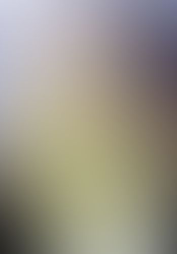 Fate/Zero (1) 第四次聖杯戦争秘話