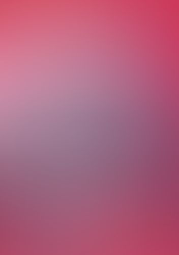 ゼロの使い魔 (17) 黎明の修道女