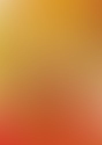 最果てのパラディン