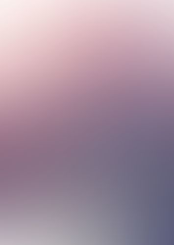 ゼロの使い魔 (10) イーヴァルディの勇者