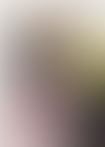 ドレスな僕がやんごとなき方々の家庭教師様な件〈7〉