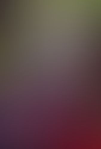 蜘蛛ですが、なにか? (4)