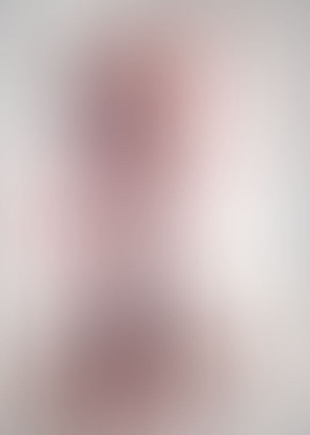 薔薇のマリア Ver2 この歌よ届けとばかりに僕らは歌っていた