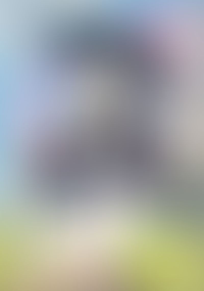 スライム倒して300年、知らないうちにレベルMAXになってました (3)