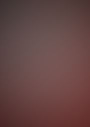 大伝説の勇者の伝説 (11) ニンゲン総代