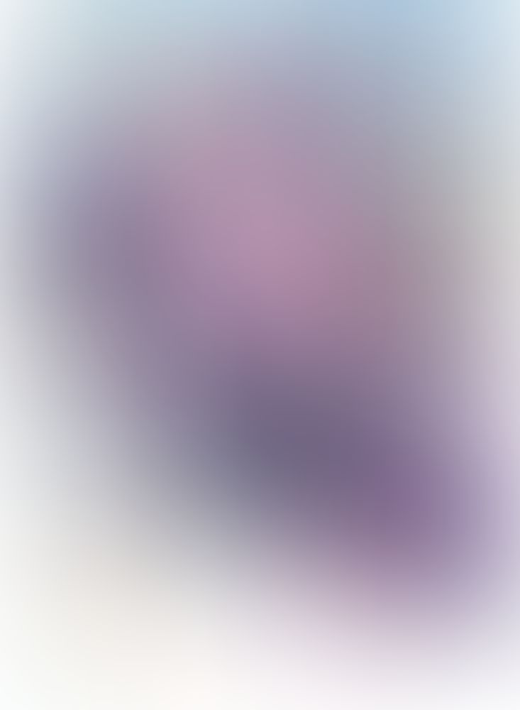 学戦都市アスタリスク (11) 刃心切磋