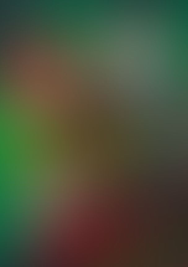 薔薇のマリア 12.夜に乱雲花々乱れ