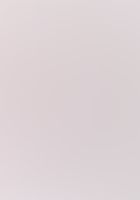 とりあえず伝説の勇者の伝説 (3) 暴力のファーストコンタクト