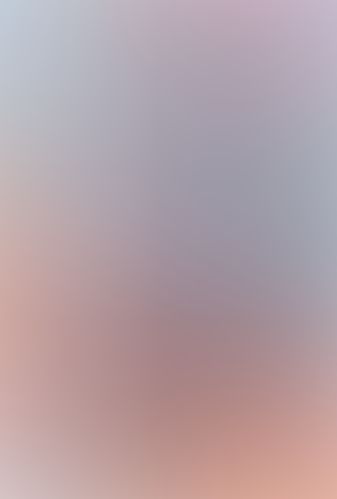 蜘蛛ですが、なにか? (13)