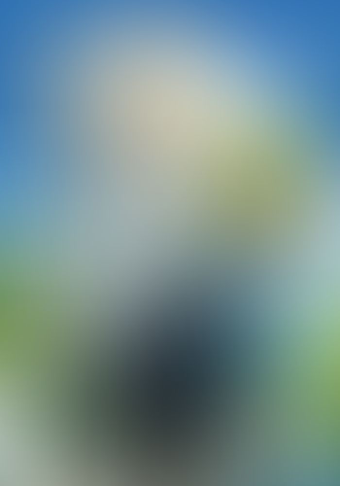 ミモザの告白 (5)