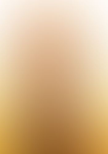 狼と香辛料 (16) 太陽の金貨(下)