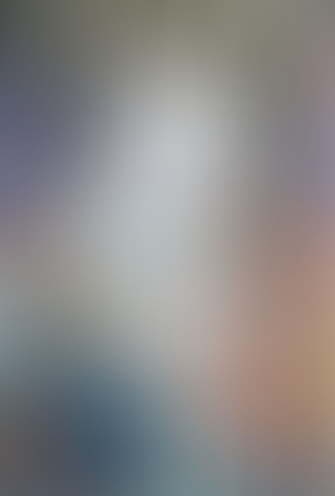 蜘蛛ですが、なにか? (12)