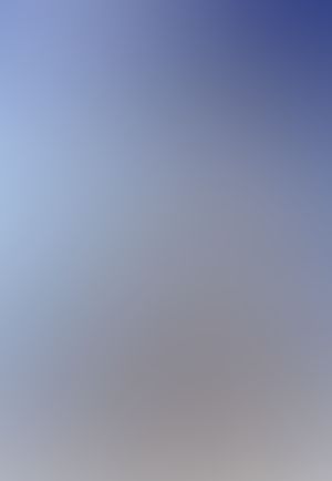 パララバ -Parallel lovers-