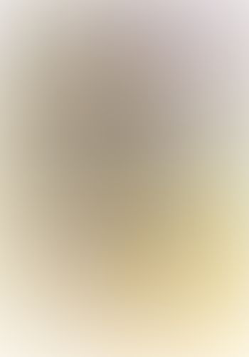 ネトゲの嫁は女の子じゃないと思った? Lv.5