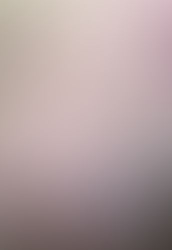 ウィッチハント・カーテンコール 超歴史的殺人事件