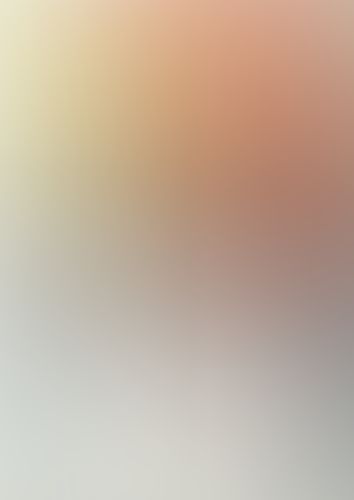 IS 〈インフィニット・ストラトス〉 (05)