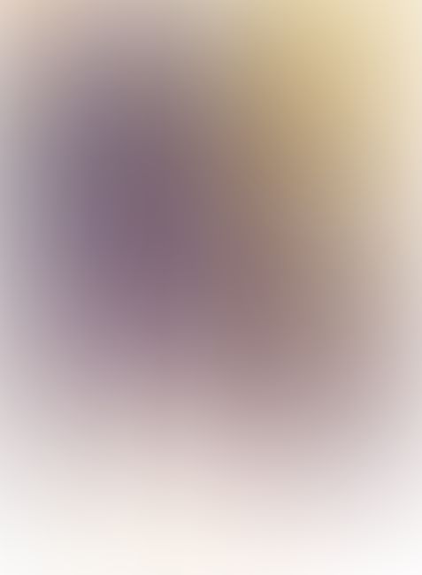 精霊使いの剣舞 (6) 追憶の闇精霊