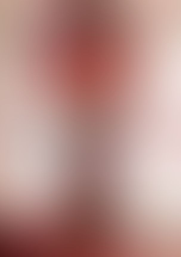 薔薇のマリア 14.さまよい恋する欠片の断章