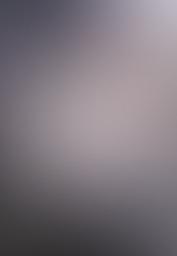 トカゲの王〈4〉―インビジブル・ライト―