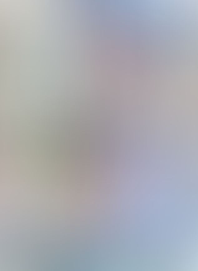 GOSICKs Ⅱ -ゴシックエス・夏から遠ざかる列車-