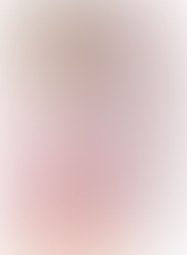 緋弾のアリア XIV 招かれざる海霧