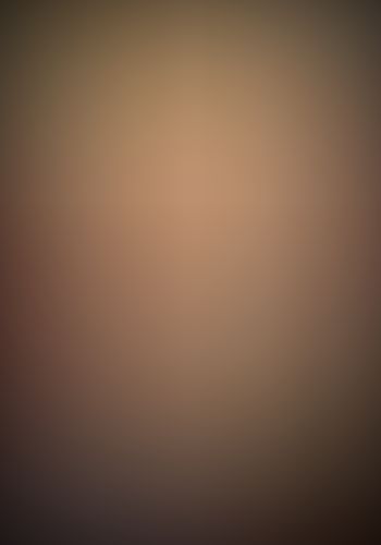 織田信奈の野望 (2)